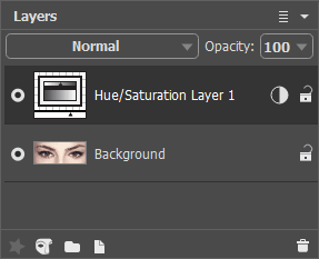 Layers Panel