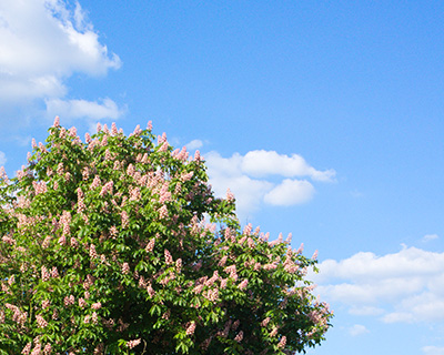 Blauer Himmel