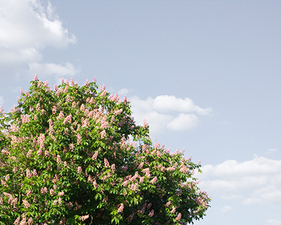 グレーの空