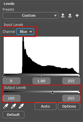 Levels Adjustment Layer